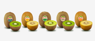 商品ラインナップ