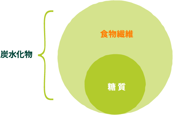 図:炭水化物は糖質と食物繊維に大別できます