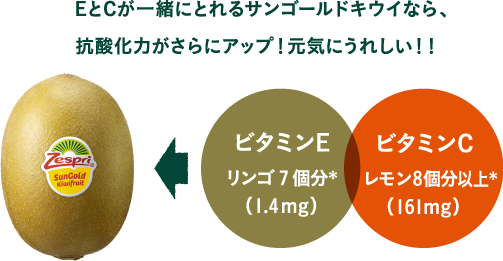 EとCが一緒にとれるサンゴールドキウイなら、抗酸化力がさらにアップ!元気にうれしい!!