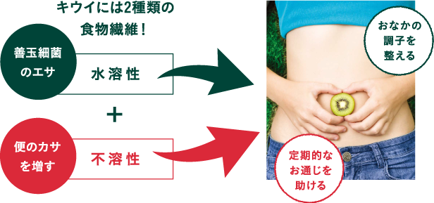 キウイには2種類の食物繊維!
