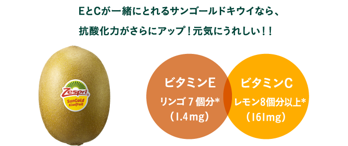 EとCが一緒にとれるサンゴールドキウイなら、抗酸化力がさらにアップ!元気にうれしい!!