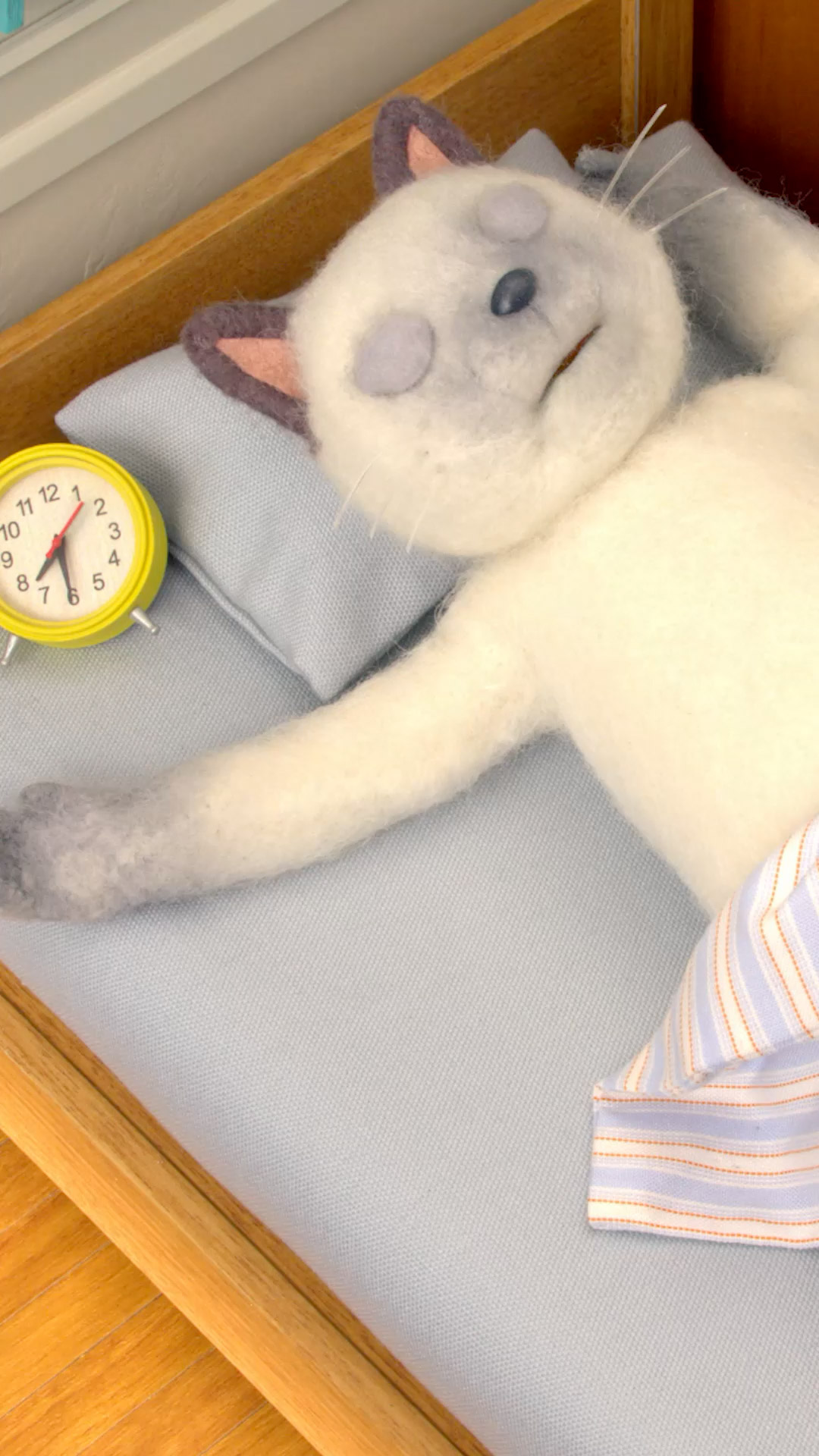 ゼスプリ栄養改革プロジェクト